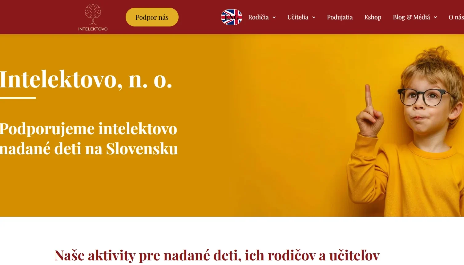 Intelektovo.sk – SEO a nastavenie webu pre neziskovú organizáciu